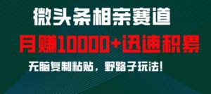 微头条相亲赛道，迅速积累，无脑复制粘贴，野路子玩法，月入1w-网创资源