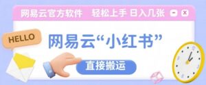 月入十个的网创项目分享，成年人的最快翻身之道-网创资源