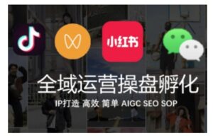 全域运营操盘(抖音+私域+小红书)，IP打造高效简单-网创资源