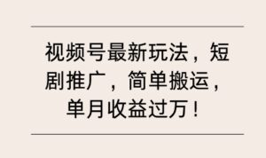 视频号最新玩法，短剧推广，简单搬运，单月收益过W-网创资源