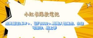 利用人性的痛点，打造爆款笔记，获得点赞超过1.5W+，日入1k【揭秘】-网创资源