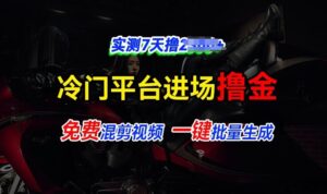 全新冷门平台视频，快速免费进场搞米，通过混剪视频一键批量生成，实测7天撸上千-网创资源