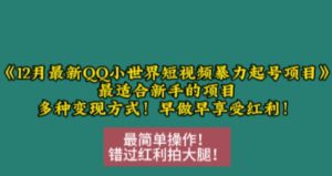 12月最新QQ小世界短视频暴力起号项目，最适合新手的项目，多种变现方式-网创资源