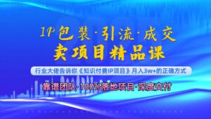 （13780期）《IP包装·暴力引流·闪电成交卖项目精品课》如何在众多导师中脱颖而出？-网创资源