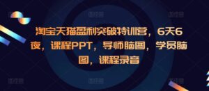 淘宝天猫盈利突破特训营，6天6夜，课程PPT，导师脑图，学员脑图，课程录音-网创资源