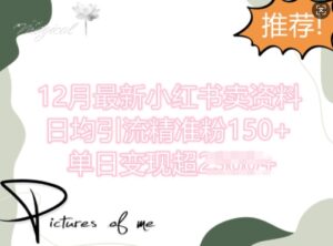 12月最新小红书日均引流精准粉100+，单日变现多张-网创资源