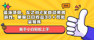 （13769期）蓝海项目，龙之谷2全自动搬砖游戏，单窗口日收益30＋可批量矩阵-网创资源