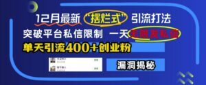 12月最新“摆烂式”引流打法，突破平台私信限制，一天无限发私信，单天引流400+创业粉-网创资源