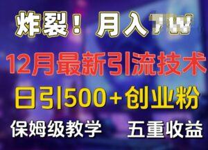 炸裂!揭秘12月最新日引流500+精准创业粉，多重收益保姆级教学-网创资源