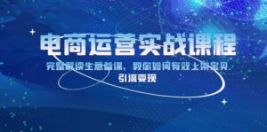 （13763期）电商运营实战课程：完整解读生意参谋，教你如何有效上架宝贝，引流变现-网创资源