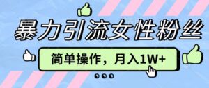 操作“零难度”小众项目，疯狂引流女性粉丝，月入轻松破 1W+-网创资源