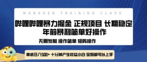 （13749期）全新哔哩哔哩暴力掘金 年前暴力项目简单好操作 长期稳定单机日入500+-网创资源