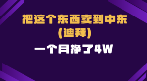（13740期）跨境电商一个人在家把货卖到迪拜，暴力项目拆解-网创资源