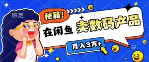 靠在闲鱼卖数码产品月入过W+的最新秘籍0基础教学，新手快速上手-网创资源