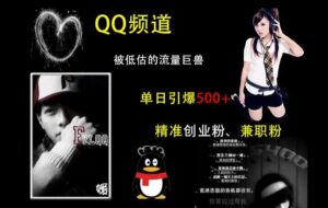 QQ频道：被低估的流量巨兽，单日引爆500+精准创业粉、兼职粉的引流秘籍-网创资源