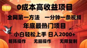（13723期）0成本高收益蓝海项目，一分钟一条视频，年底最热项目，小白轻松日入…-网创资源