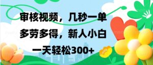 （13719期）视频审核，新手可做，多劳多得，新人小白一天轻松300+-网创资源