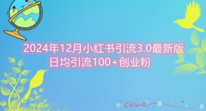 2024年12月小红书引流最新版，日均引流100+创业粉-网创资源