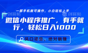 （13709期）微信小程序推广，有手就行，轻松日入1000+-网创资源
