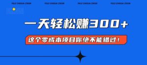 （13702期）零成本入门！简单几步开启一天300+的赚钱之路！-网创资源