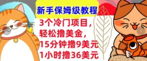 3个冷门项目，轻松撸美刀，1小时撸36刀，新手保姆级教程-网创资源