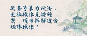 头条号暴力玩法，无脑操作直接转发，项目拆解适合矩阵操作!-网创资源