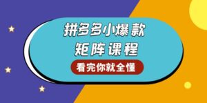 （13699期）拼多多爆款矩阵课程：教你测出店铺爆款，优化销量，提升GMV，打造爆款群-网创资源