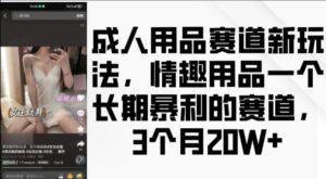 成人用品赛道新玩法，情趣用品一个长期暴利的赛道，3个月收益20个【揭秘】-网创资源