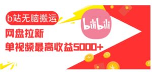 视频无脑搬运b站网盘拉新，单视频最高收益5k+【揭秘】-网创资源