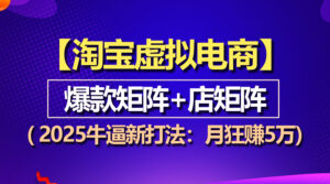 （13687期）【淘宝虚拟项目】2025牛逼新打法：爆款矩阵+店矩阵，月狂赚5万-网创资源