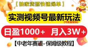 实测视频号最新玩法，中老年赛道，独家资源，月入过W+【揭秘】-网创资源