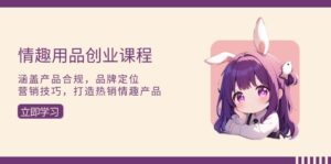 （13682期）情趣用品创业课程：涵盖产品合规，品牌定位，营销技巧，打造热销情趣产品-网创资源