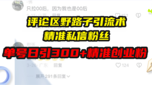 （13676期）评论区野路子引流术，精准私信粉丝，单号日引流300+精准创业粉-网创资源