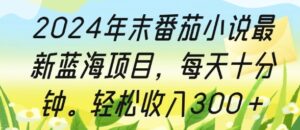 2024年末番茄小说最新蓝海项目，每天十分钟，轻松收入3张-网创资源