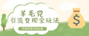 羊毛党引流变现全玩法，年轻市场引流必备-网创资源