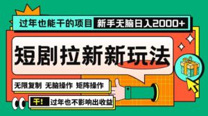 （13656期）过年也能干的项目，2024年底最新短剧拉新新玩法，批量无脑操作日入2000+！-网创资源
