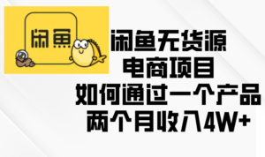 （13658期）闲鱼无货源电商项目，如何通过一个产品两个月收入4W+-网创资源