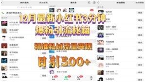 （13653期）12月最新小红书3分钟爆粉引流秘籍 精准私域流量变现 日引500+-网创资源