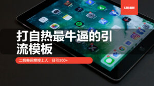（13654期）打自热最牛逼的引流模板，二剪搬运嗖嗖上人，日引300+-网创资源