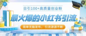 最火爆的小红书引流，日引100+高质量创业粉-网创资源