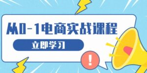 （13594期）从零做电商实战课程，教你如何获取访客、选品布局，搭建基础运营团队-网创资源