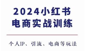 2024小红书电商3.0实战训练，包含个人IP、引流、电商等玩法-网创资源