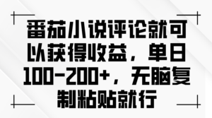 （13579期）番茄小说评论就可以获得收益，单日100-200+，无脑复制粘贴就行-网创资源