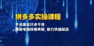 （13577期）拼多多实操课程：不讲废话只讲干货, 揭秘电商终极奥秘,助力快速起店-网创资源