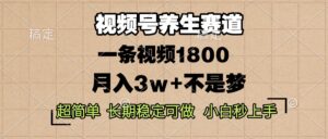 （13564期）视频号养生赛道，一条视频1800，超简单，长期稳定可做，月入3w+不是梦-网创资源