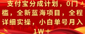 支付宝分成计划，0门槛，全新蓝海项目，全程详细实操，小白单号月入1W+-网创资源