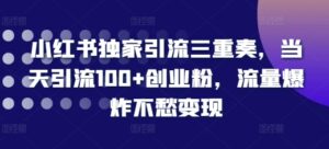 小红书独家引流三重奏，当天引流100+创业粉，流量爆炸不愁变现【揭秘】-网创资源