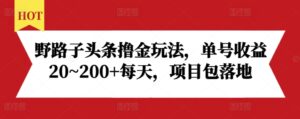 野路子头条撸金玩法，单号收益20~200+每天，项目包落地-网创资源