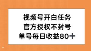 视频号开白任务，官方授权不封号，单号每天稳定收益80+-网创资源
