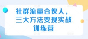 社群流量合伙人，三大方法变现实战训练营-网创资源